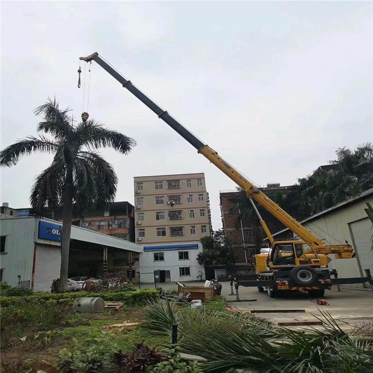 东宝汽车吊出租多少钱？全面解析与市场行情