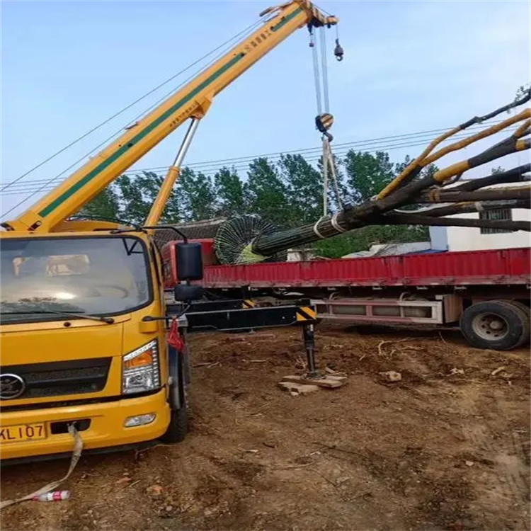 东宝100吨吊车租赁费用怎么算？3大关键因素+省钱技巧全解析